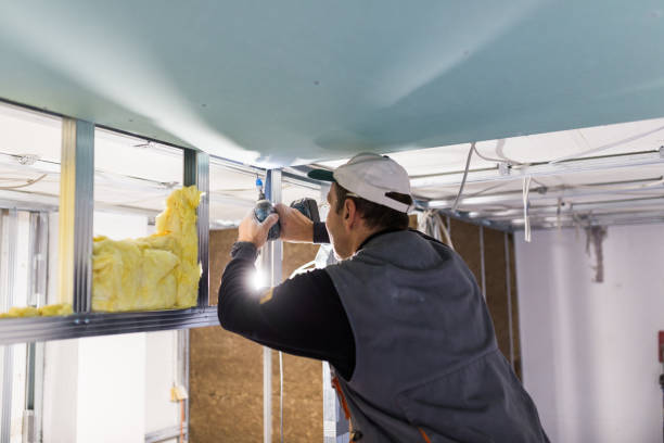 Best Insulation Installation Services in Eddyville, KY