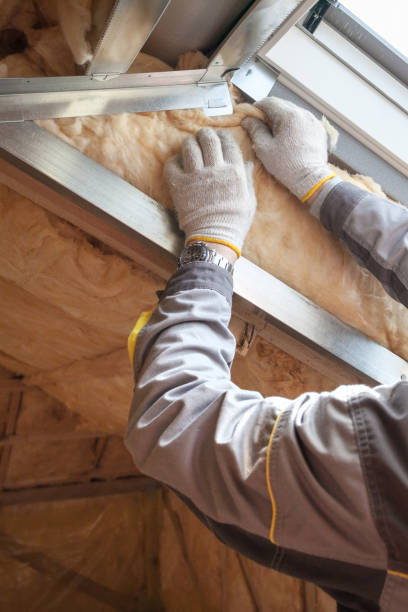 Best Insulation Maintenance and Repair in Eddyville, KY